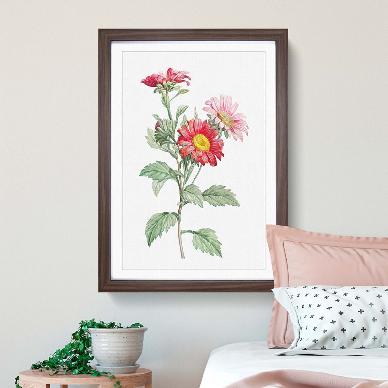 Red Aster Flowers by Pierre-Joseph Redoute - Picture Frame Painting Print, 36cm H x 27cm W x 2cm D, Walnut Framed