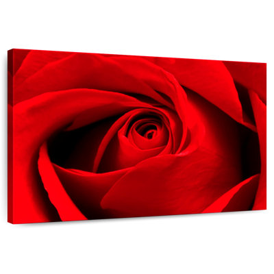 Harnek, gros plan d'une rose rouge