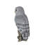 Polyresin Garden Statue-651025578