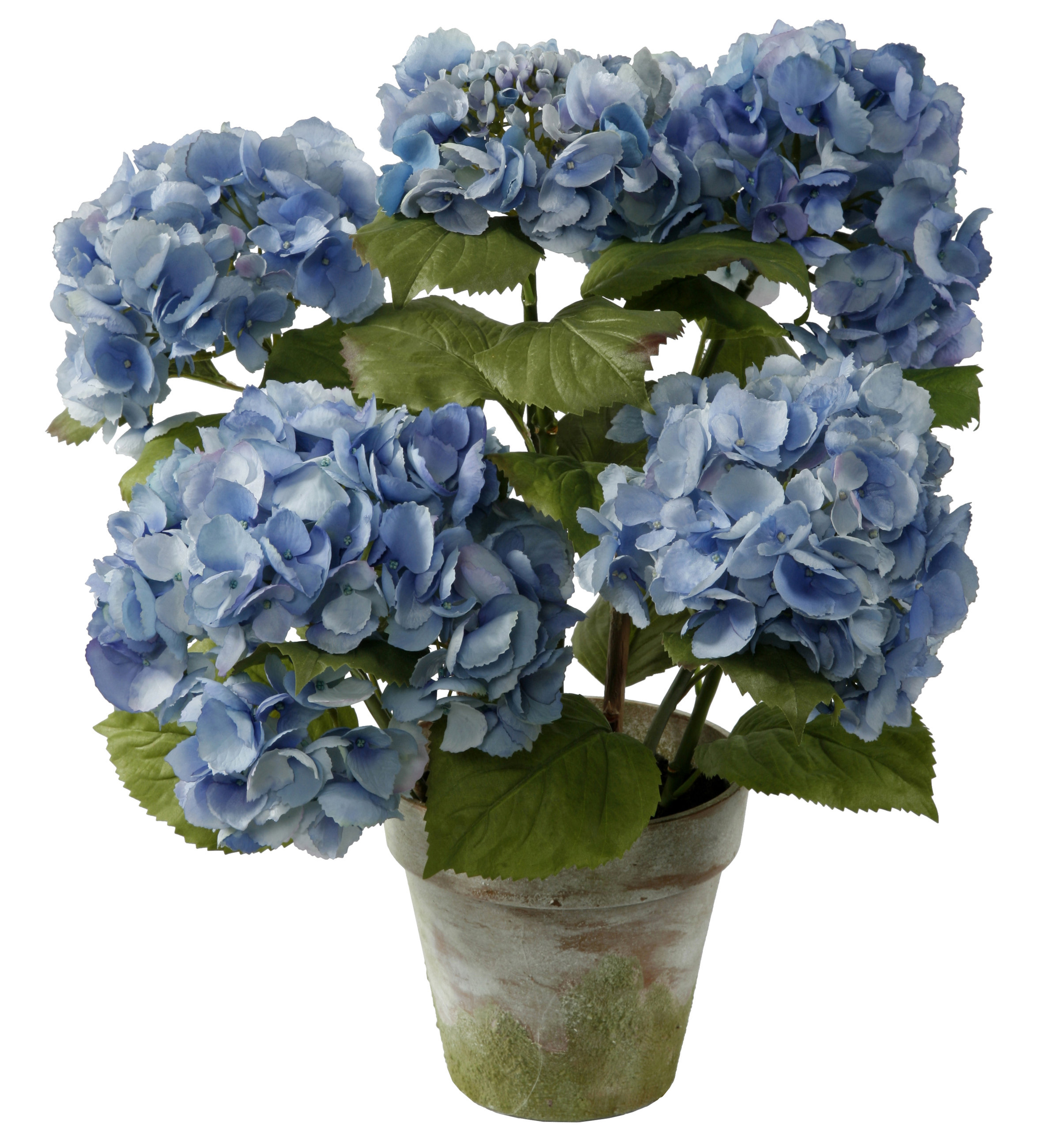 Winward Silks Hydrangea Floral Arrangement in Terracotta Pot Perigold