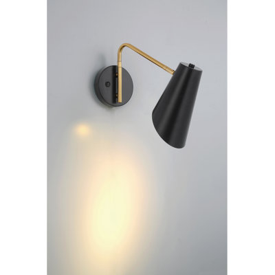 Raymier Steel Armed Sconce