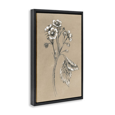 «Flower Sprig S croquis», toile encadrée dorée par June Erica Vess