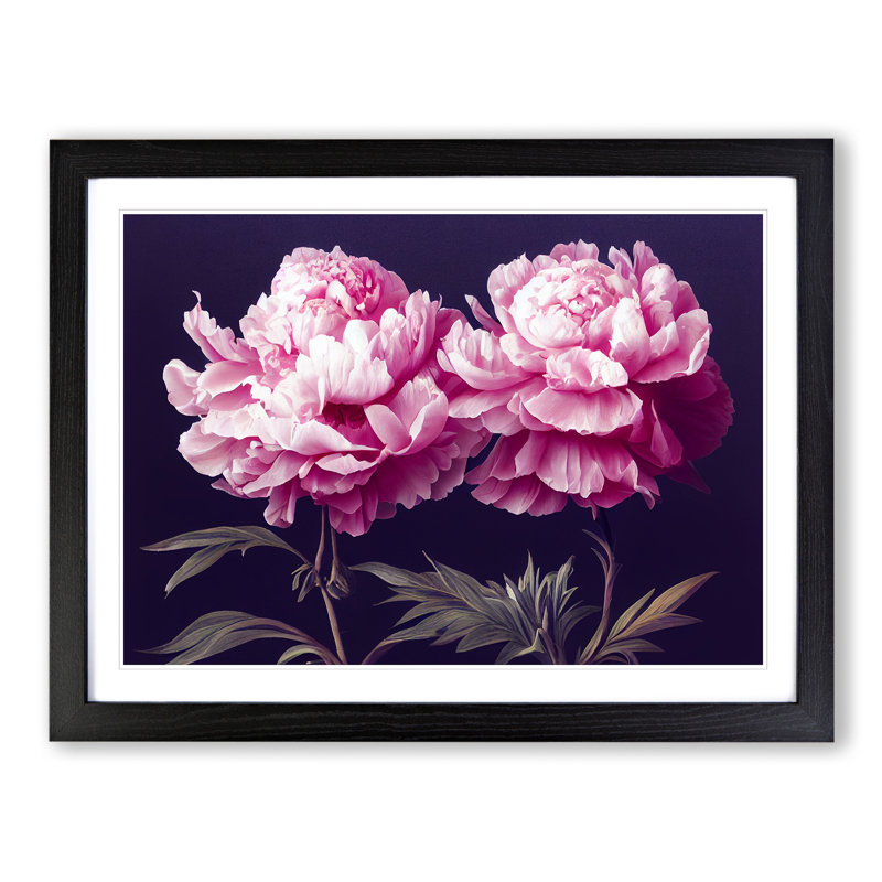Splendorous Peony Flowers - Framed Print, Black, 34cm H x 46cm W x 2cm D