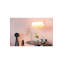 Rani 1 - Light Pendant-59263767