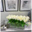 Tulip Stems in Vase-1925685573