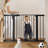 Safety Gate-94583547