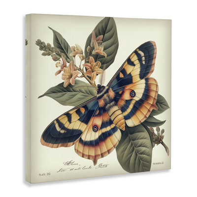 Art mural détaillé sur les papillons de nuit et les lys par Steve Huntziker