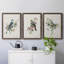 «Spring Song Blue Bird», ensemble de 3 impressions sur toile encadrées-777363423-777363412
