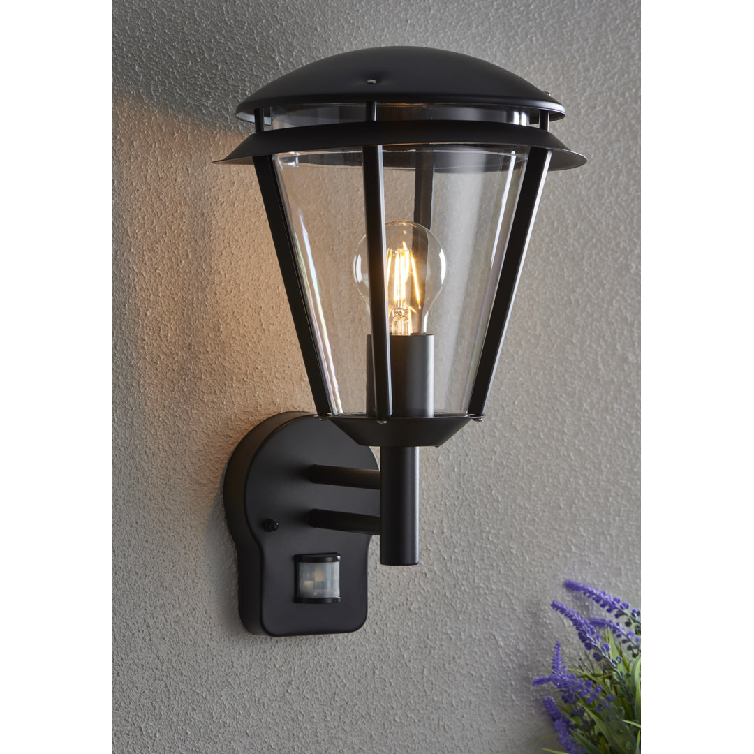 Nellie 38cm H Outdoor Wall Lantern
