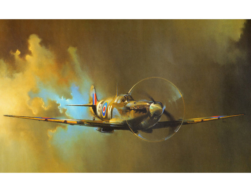 Spitfire, H 15 po x l 24 po