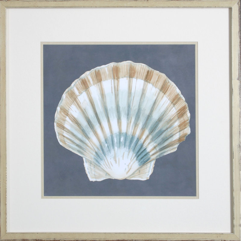 Shell On Slate III Print by Meagher