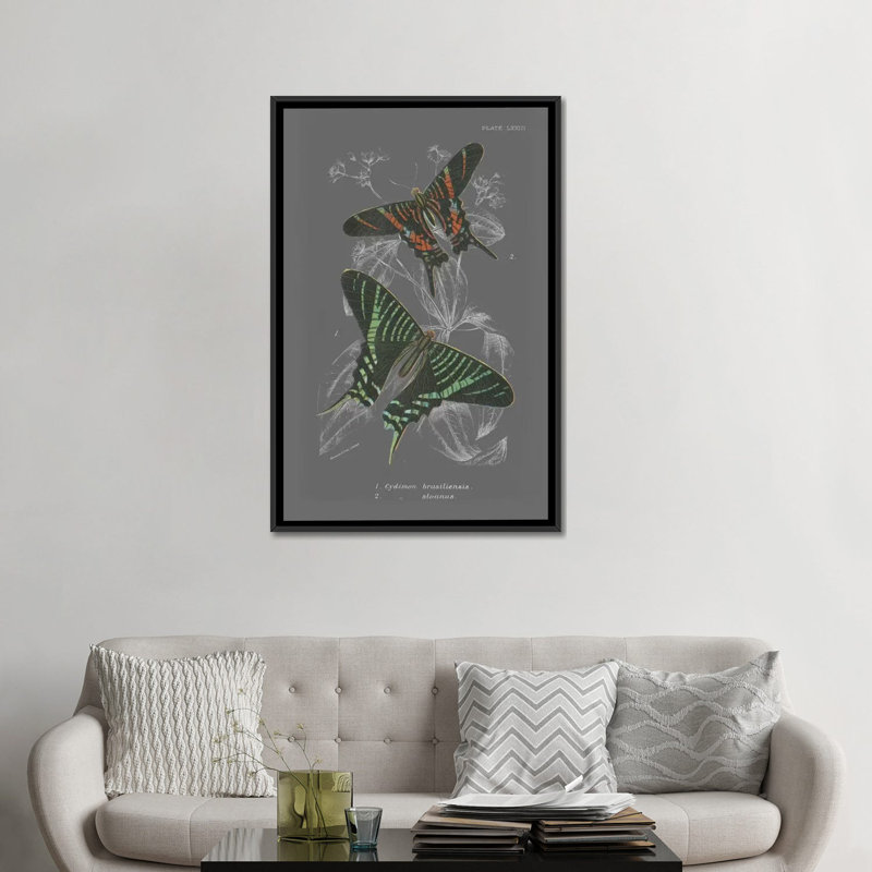 Lepidoptera ii, impression sur toile tendue, H 26 po x l 18 po x P 1,5 po, Toile avec cadre noir, Pas de tapis