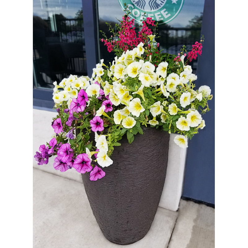 Callan Tall Double Walled Pot Planter, Brownstone, 28" H x 12.6" W x 12.6" D