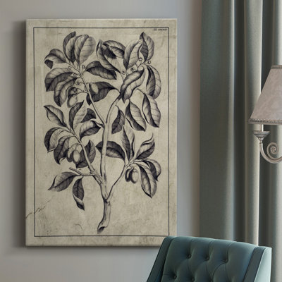 Peinture sur toile embellie Antique Foliage I