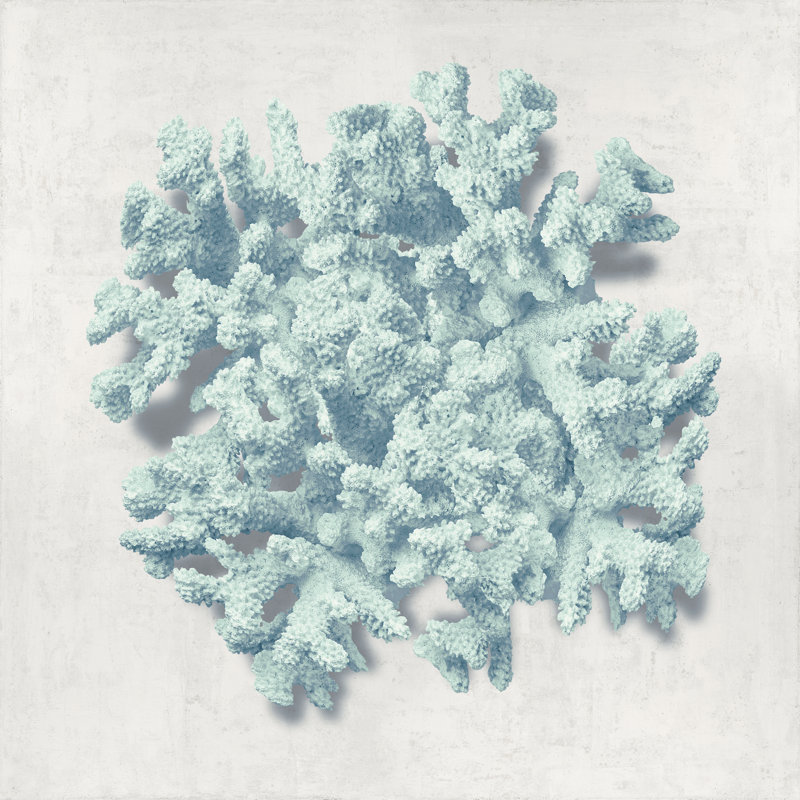 Coral Mint II by Caroline Kelly - Wrapped Canvas Print, 91cm H x 91cm W