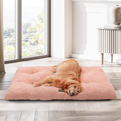 Lit pour chien en peluche, lit pour chien moelleux, tapis lavable avec fond antidérapant pour chiens
