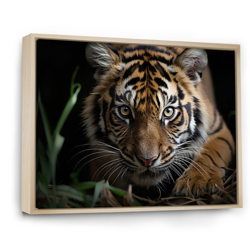 Portrait de tigre brun - art mural tigre, Cadre flottant érable, H 34 po x l 44 po x P 1,5 po