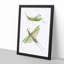 Green Locust by George Shaw - Framed Print-55620872-55620874