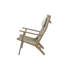 Coastal Teak Outdoor Teak Lounge Chair