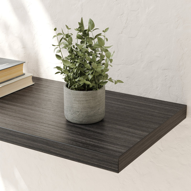  Large Floating Shelves for Wall Set of 2 Wooden Wall Shelves 24 in x 10 in x 1 in Room Decor Long Shelf with Invisible Wall Mount Bracket for Bedroom, Kitchen, Living Room, Black Wood