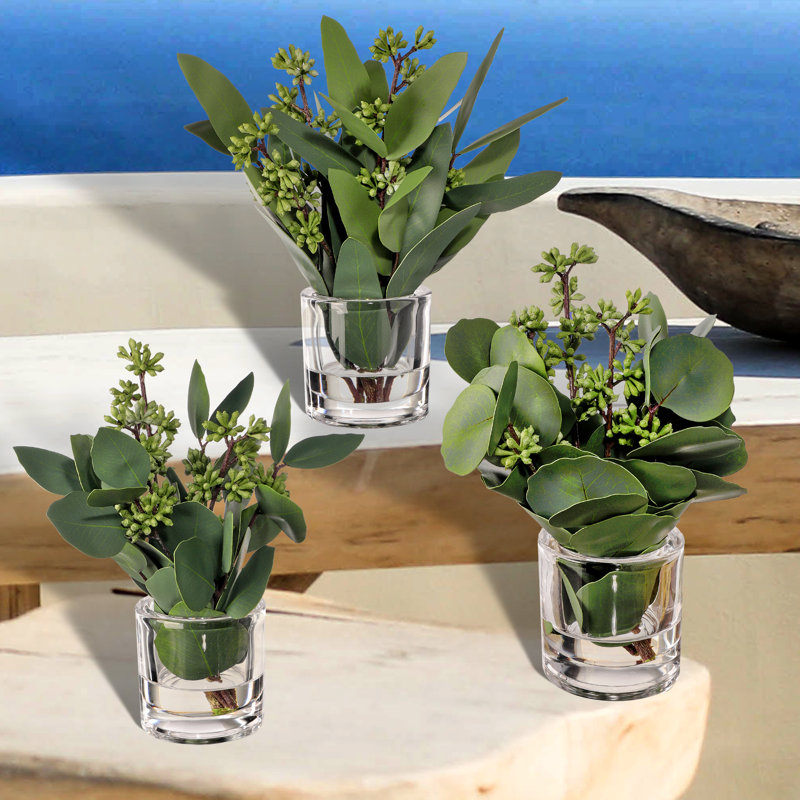 Eucalyptus Arrangement in Jar