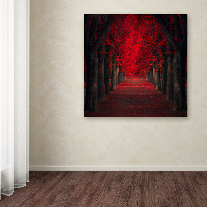 « infinie passion », reproduction de photo sur toile tendue, H 14 po x l 14 po