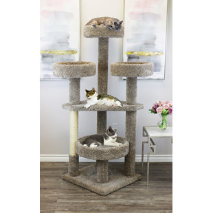 Maine Coon 61'' H Cat Tree