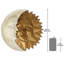Celestial Harmony Sun & Moon Wall Sculpture