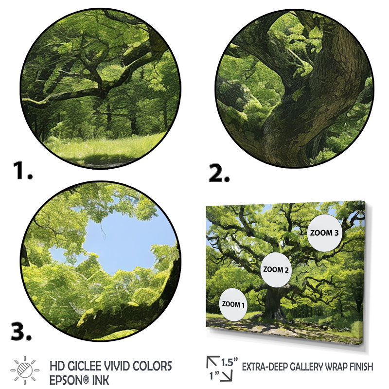 Photo de majestueux arbre sycomore - Art mural arbre sycomore, Cadre d'angle fermé noir, H 30 po x l 40 po x P 1,5 po