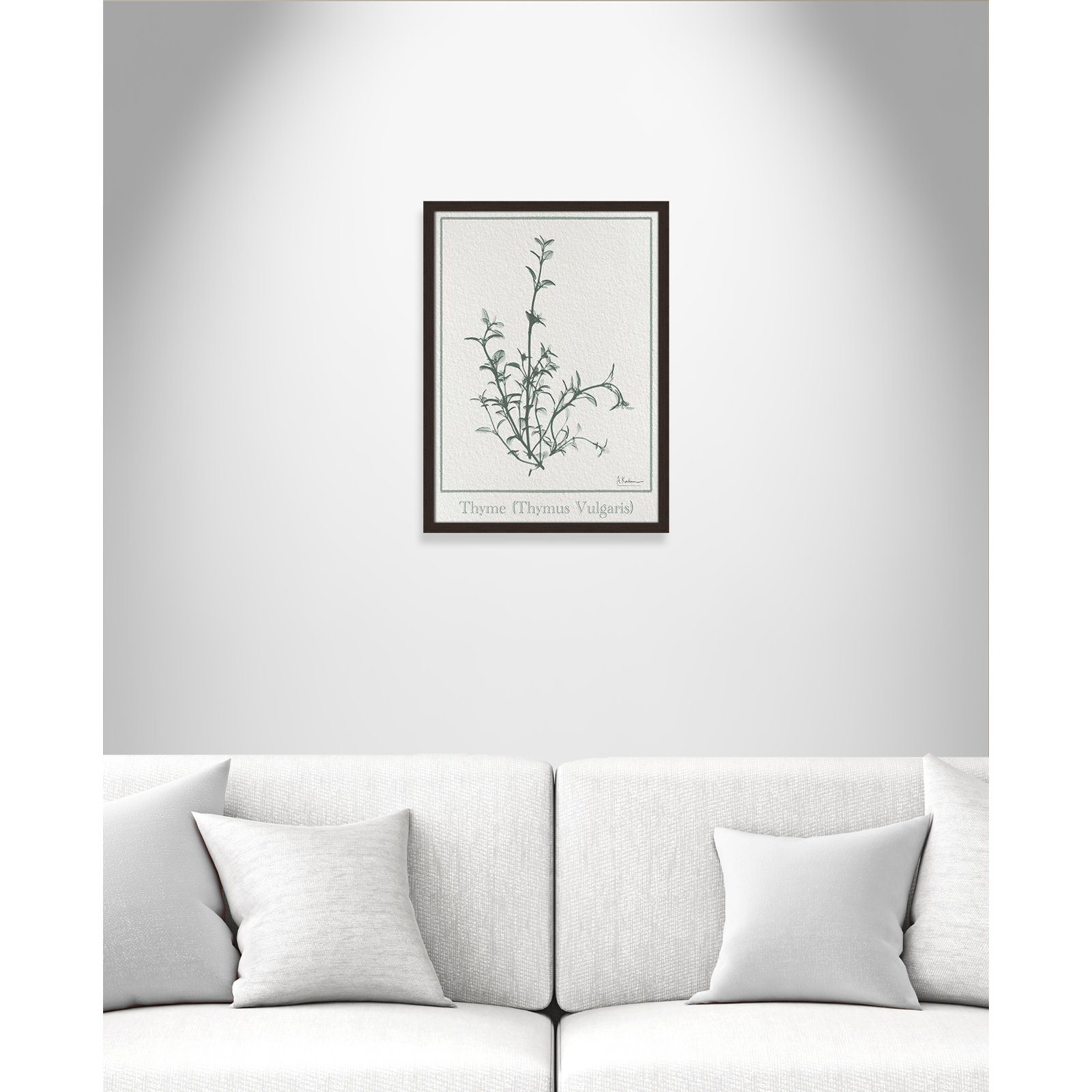 Jeanette "Thymus Vulgaris" Print, 23" H x 17" W x 1.25" D, Open Grain Walnut Framed Paper