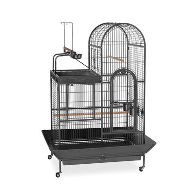Nickelson 63.5'' Steel Play Top Floor Bird Cage with Wheels