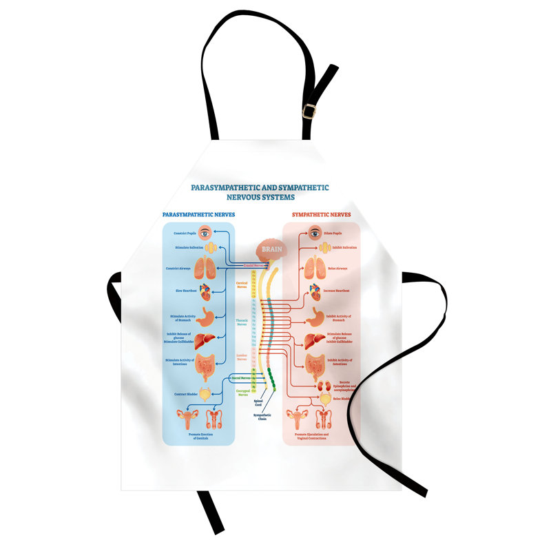Tablier East Urban Home Anatomy