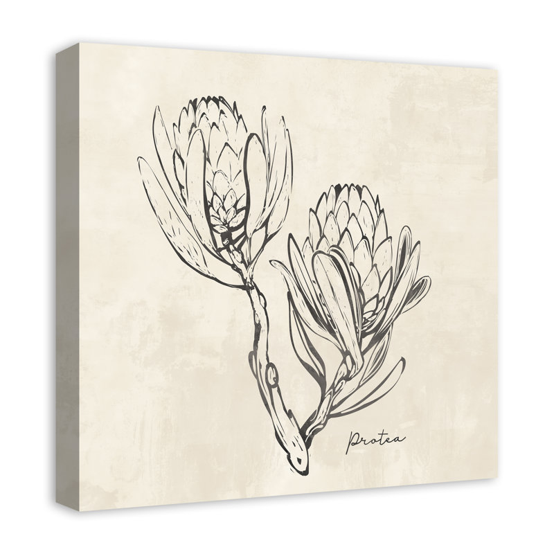 " Protea Sketch " Print