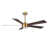 Gold with Natural Wood Blades