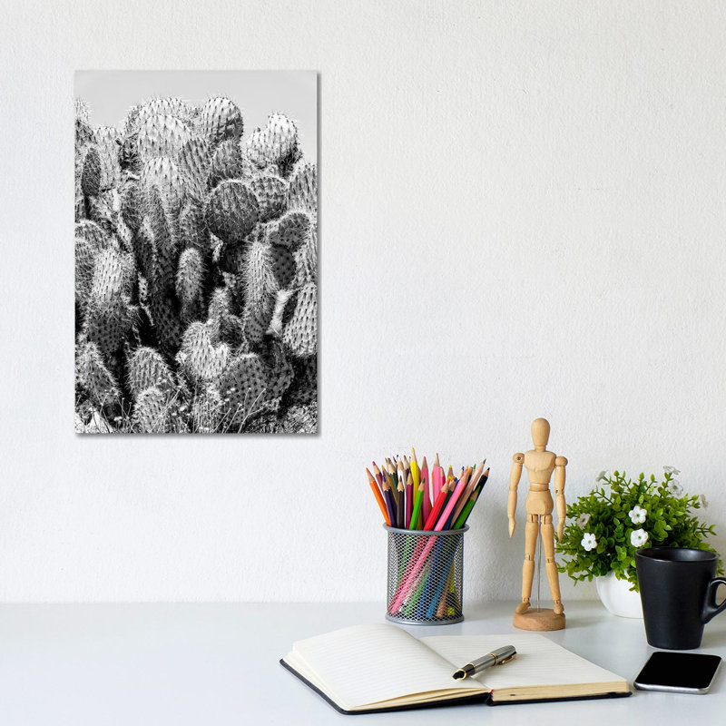Cactus Stings by Philippe Hugonnard - Wrapped Canvas Print, 20.32 cm H x 30.48 cm W