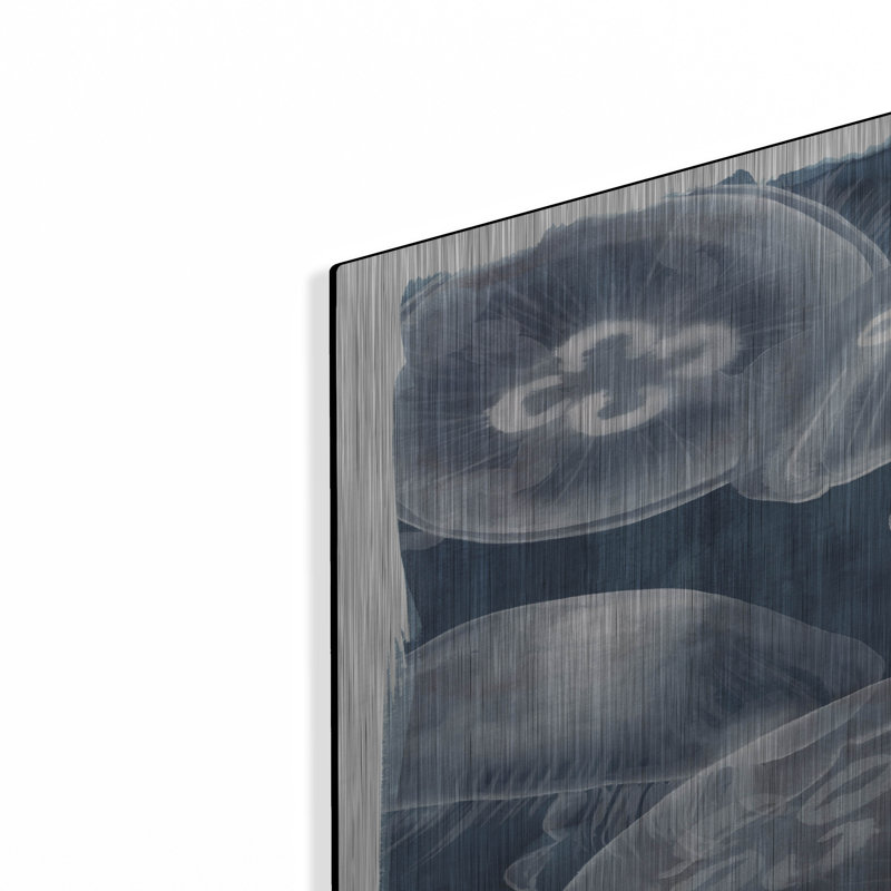 «Moon Jellies I» par Grace Popp, H 36 po x l 24 po