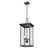 Osakis 4 Light 11" Wide Outdoor Pendant
