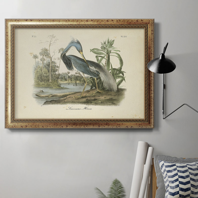 Audubons Louisiana Heron - cadre photo, impression sur toile