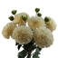 Plastic, Silk Artificial Arrangement-88685003