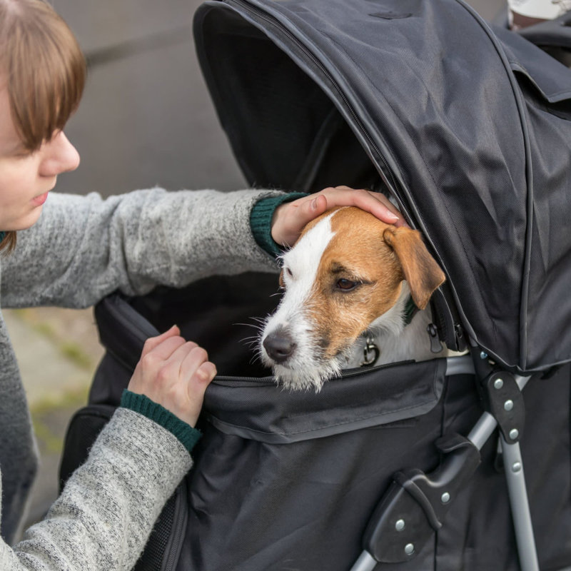 Poussette pour animaux compacte et légère pour animaux de compagnie Trixie, Noir