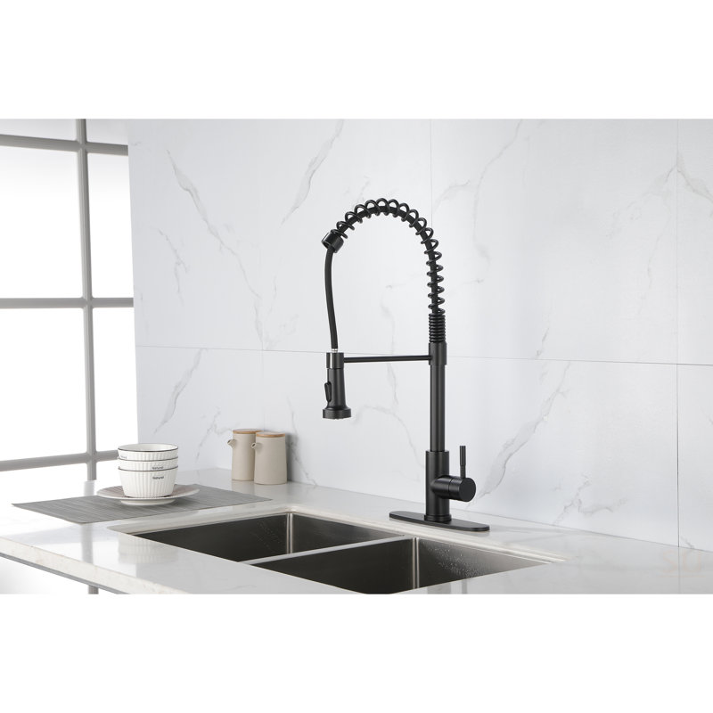 Robinet de cuisine à ressort avec douchette extractible, robinet d'évier de cuisine monocorps en acier inoxydable