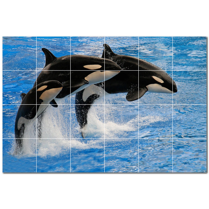Murale en céramique satinée Whale Photo 8 po x 8 po