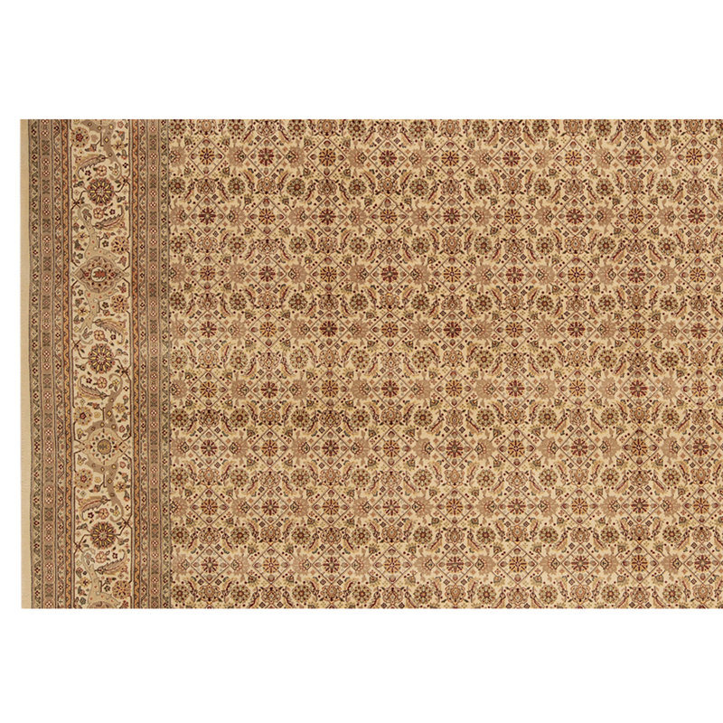 Wool Oriental Area Rug in Ivory