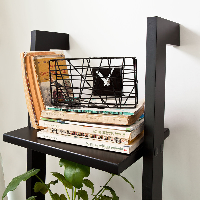 Swarthofthi 121cm H x 33.5cm W Ladder Bookcase