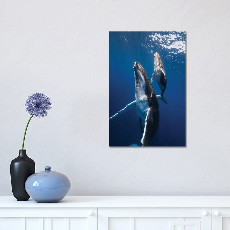 «Back to the Surface» par Barathieu Gabriel - reproduction de photo, H 18 po x l 12 po x 1,5 po, Toile tendue, Aucun mat
