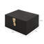 Jewellery Box-96097143