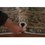 Tapis traditionnel 6 x 9