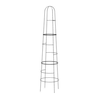 Anyree Metal Plant Support