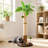  Coconut Palm Cat Tree