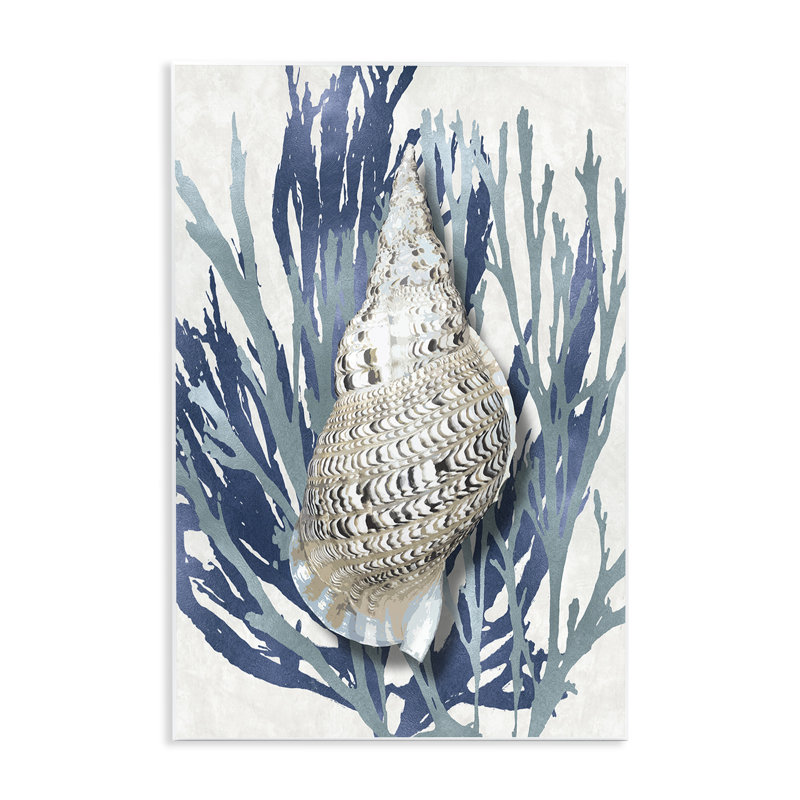 «Shell Coral Blue Beach» par Caroline Kelly - reproduction d'art, H 19 po x l 13 po